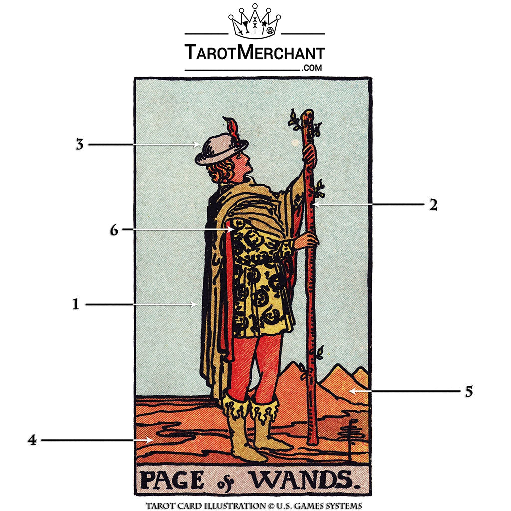 Page of Wands Tarot Card Meaning with Video TarotMerchant