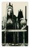 Murder of Crows Tarot Mini