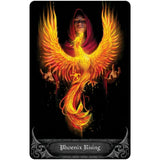 TarotMerchant-Anne Stokes Gothic Oracle Cards USGS