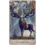 TarotMerchant-Divine Nature Oracle Cards USGS