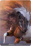 Oracle of the Sacred Horse - Unbridle Your Spirit
