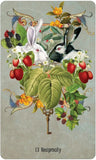 Unlocking the Secret Garden Oracle - Discover the Wisdom Within
