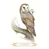 TarotMerchant-A Compendium of Witches Oracle Cards Lo Scarabeo