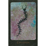 TarotMerchant-A Shaman Oracle Deck AGM