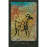 TarotMerchant-A Shaman Oracle Deck AGM