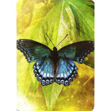 TarotMerchant-Butterfly Affirmations Cards Blue Angel
