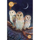 TarotMerchant-Celtic Lenormand Deck USGS