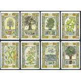 TarotMerchant-Celtic Tree Oracle - 25 Cards & 116 Page Guidebook
