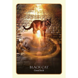TarotMerchant-Divination of the Ancients Oracle Cards Blue Angel