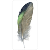 TarotMerchant-Divine Feather Messenger Deck & Book USGS