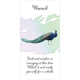 TarotMerchant-Divine Feather Messenger Deck & Book USGS