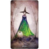 TarotMerchant-Earthly Souls & Spirits Moon Oracle Cards USGS