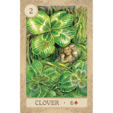 TarotMerchant-Fairy Tale Lenormand in Tin USGS
