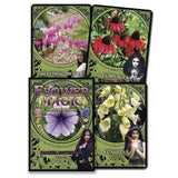 TarotMerchant-Flower Magic Oracle Cards Llewellyn