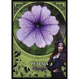 TarotMerchant-Flower Magic Oracle Cards Llewellyn