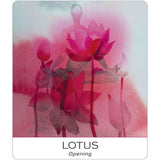 TarotMerchant-Nature & Soul Yoga Wisdom Cards USGS