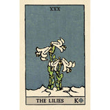 TarotMerchant-Pixie's Astounding Lenormand in Tin USGS