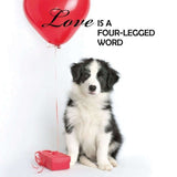 TarotMerchant-Pup Notes - 60 Notes of Dog Love & Joy