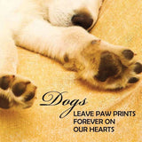 TarotMerchant-Pup Notes - 60 Notes of Dog Love & Joy