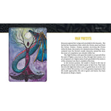 TarotMerchant-Ravyness Drakon Tarot Kit - Deck & Book Red Feather