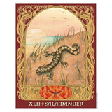 TarotMerchant-The Sacred World Oracle Cards USGS
