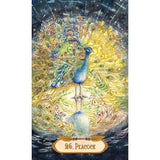 TarotMerchant-The Winged Enchantment Oracle Deck USGS