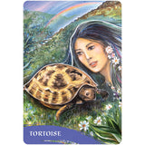 TarotMerchant-The Zen of Animals Oracle Cards Blue Angel