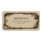TarotMerchant-Whispering Woods Inspiration Cards USGS