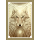TarotMerchant-White Light Oracle Cards Blue Angel