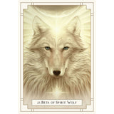 TarotMerchant-White Light Oracle Cards Blue Angel