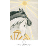 TarotMerchant-White Sage Tarot Deck in Tin USGS