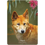 TarotMerchant-Wild Wisdom Australia Oracle Cards Blue Angel