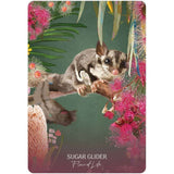 TarotMerchant-Wild Wisdom Australia Oracle Cards Blue Angel
