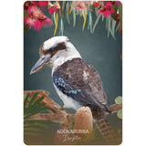 TarotMerchant-Wild Wisdom Australia Oracle Cards Blue Angel
