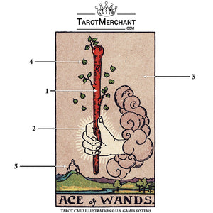 Ace of Wands Tarot Card Meanings