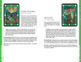 Tarot D: The Didactic Tarot Kit - Deck & Book Red Feather