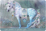 Oracle of the Sacred Horse - Unbridle Your Spirit