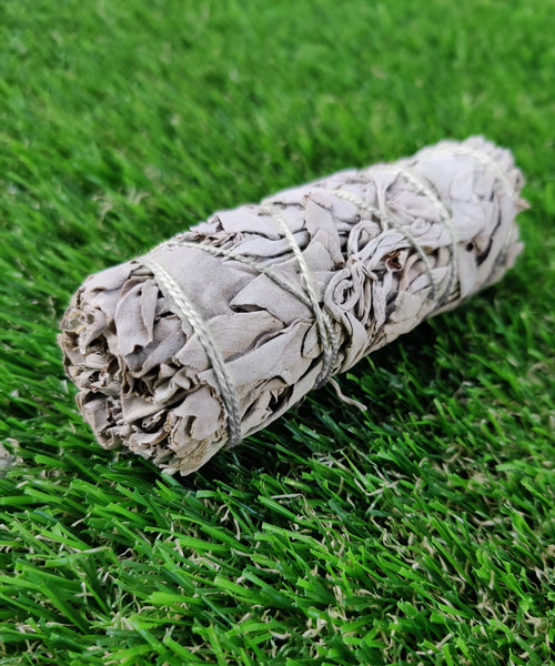 California White Sage Smudge Stick (4 in.)