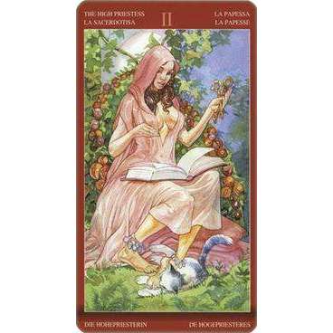 sexual mtg cards Sexual Magic Tarot – TarotMerchant