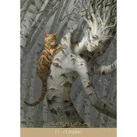 TarotMerchant-Barbieri Fantasy Cats Oracle Cards Lo Scarabeo