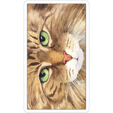 TarotMerchant-Cat's Eye Tarot Deck USGS