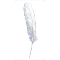 TarotMerchant-Divine Feather Messenger Deck & Book USGS