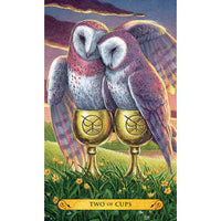 TarotMerchant-Tarot of the Owls Kit - Decks & Book Llewellyn