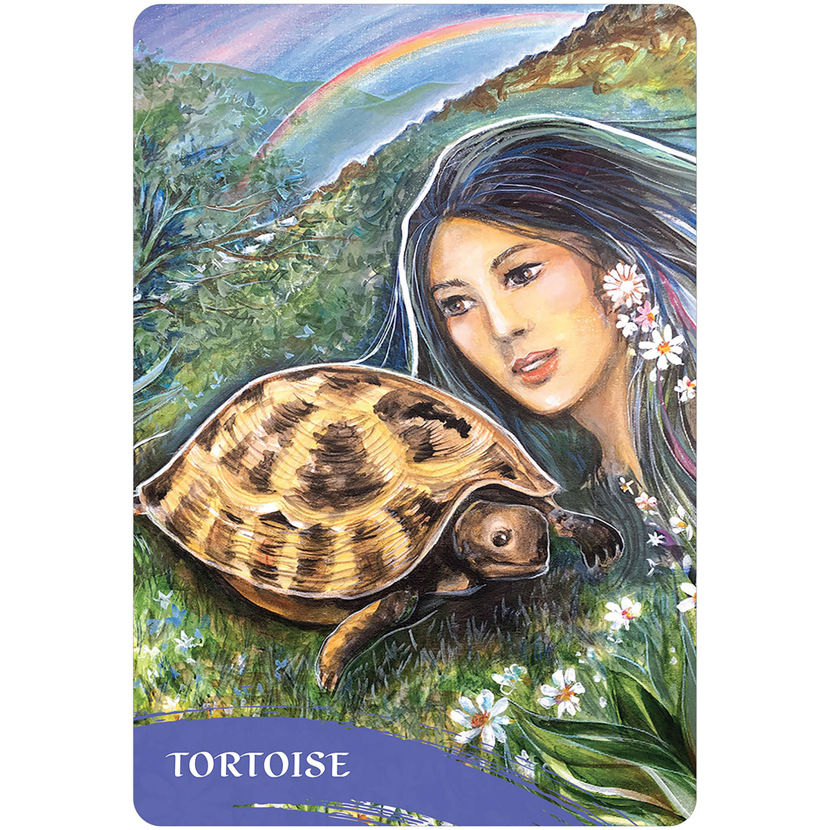 The Zen of Animals Oracle Cards Blue Angel – TarotMerchant